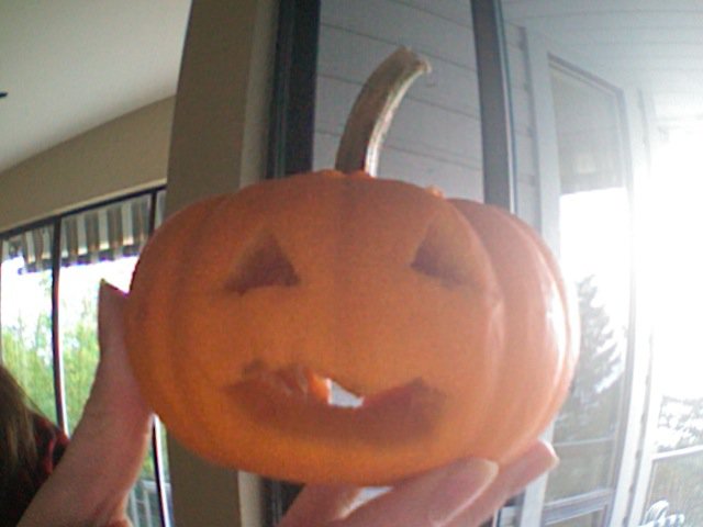 Pumpkin mini