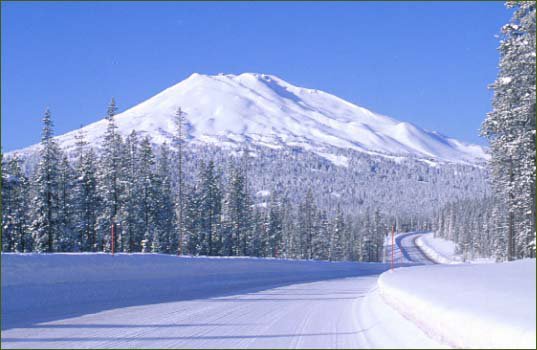 MT. BACHELOR