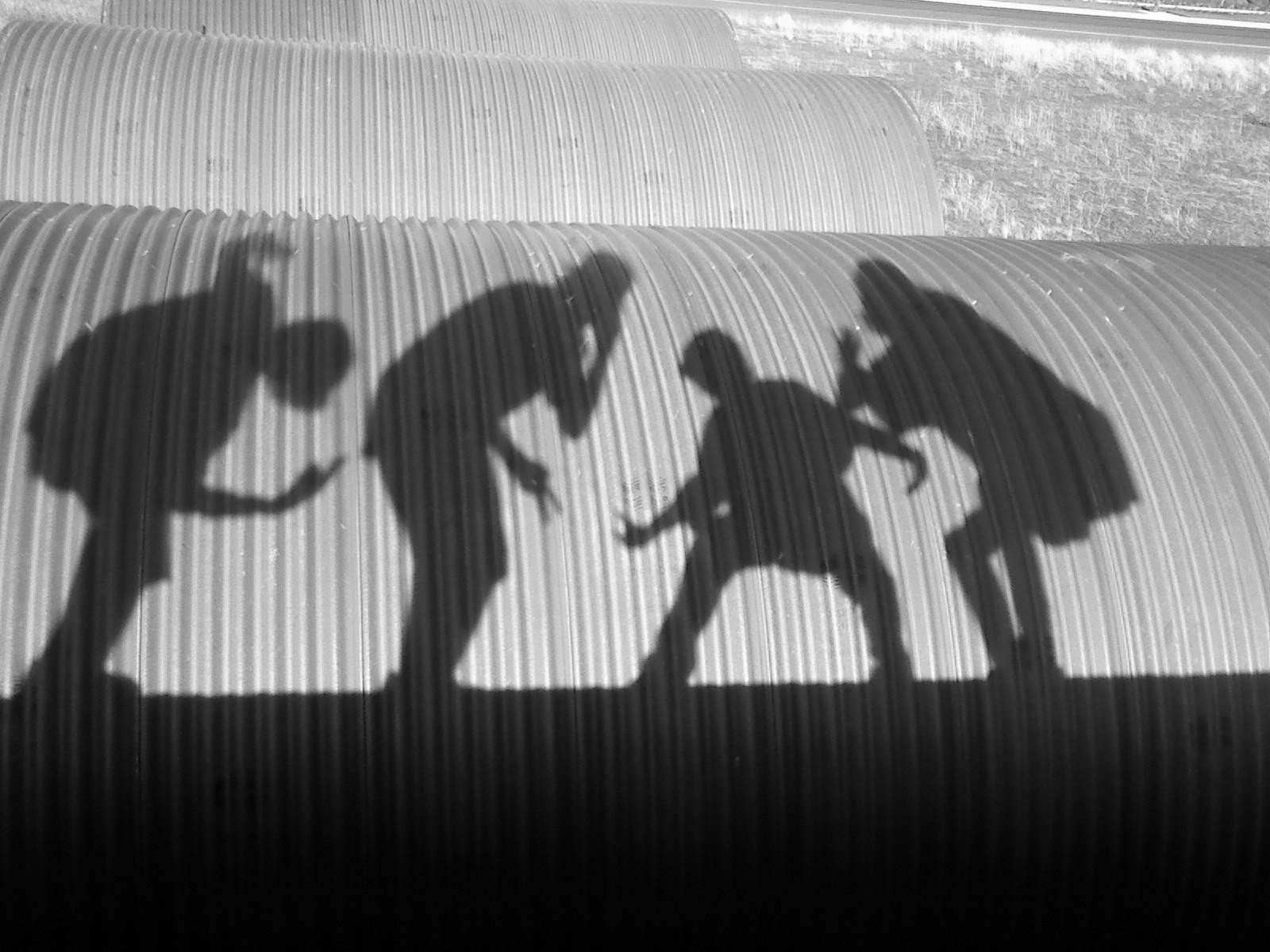 Shadow picture!