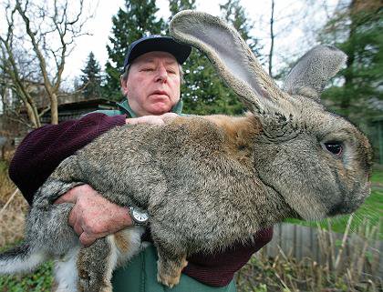 My smelly old grandpa, and my pet rabbit BLOOMBERG!!!!!!!