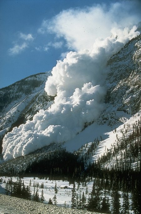 Avalanche-canada
