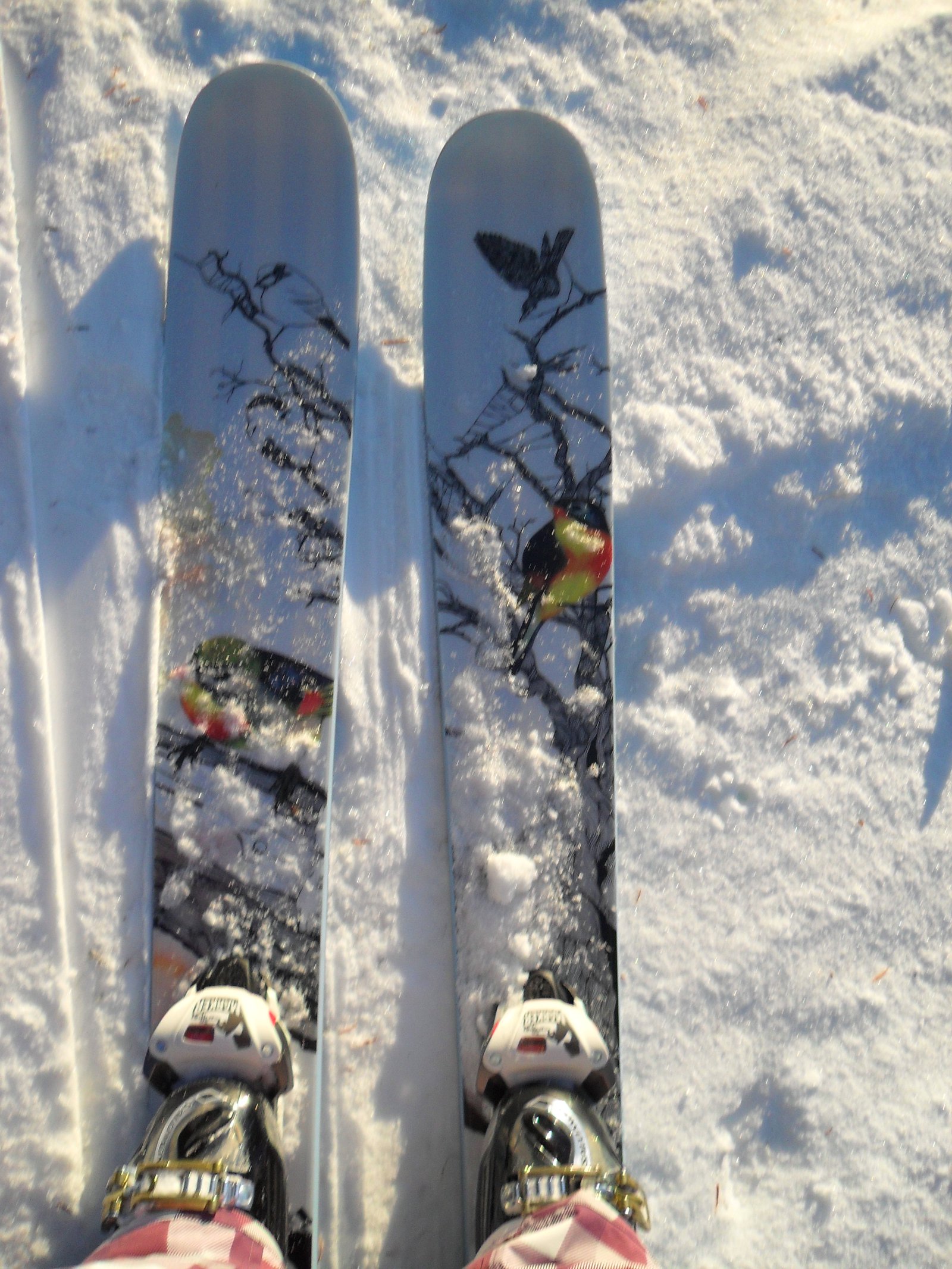 My skiiis
