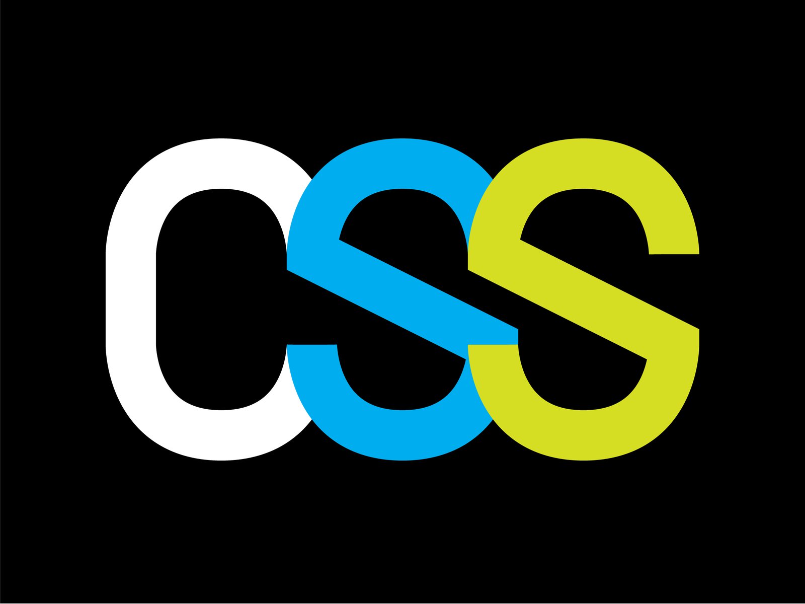 CSS Logo II