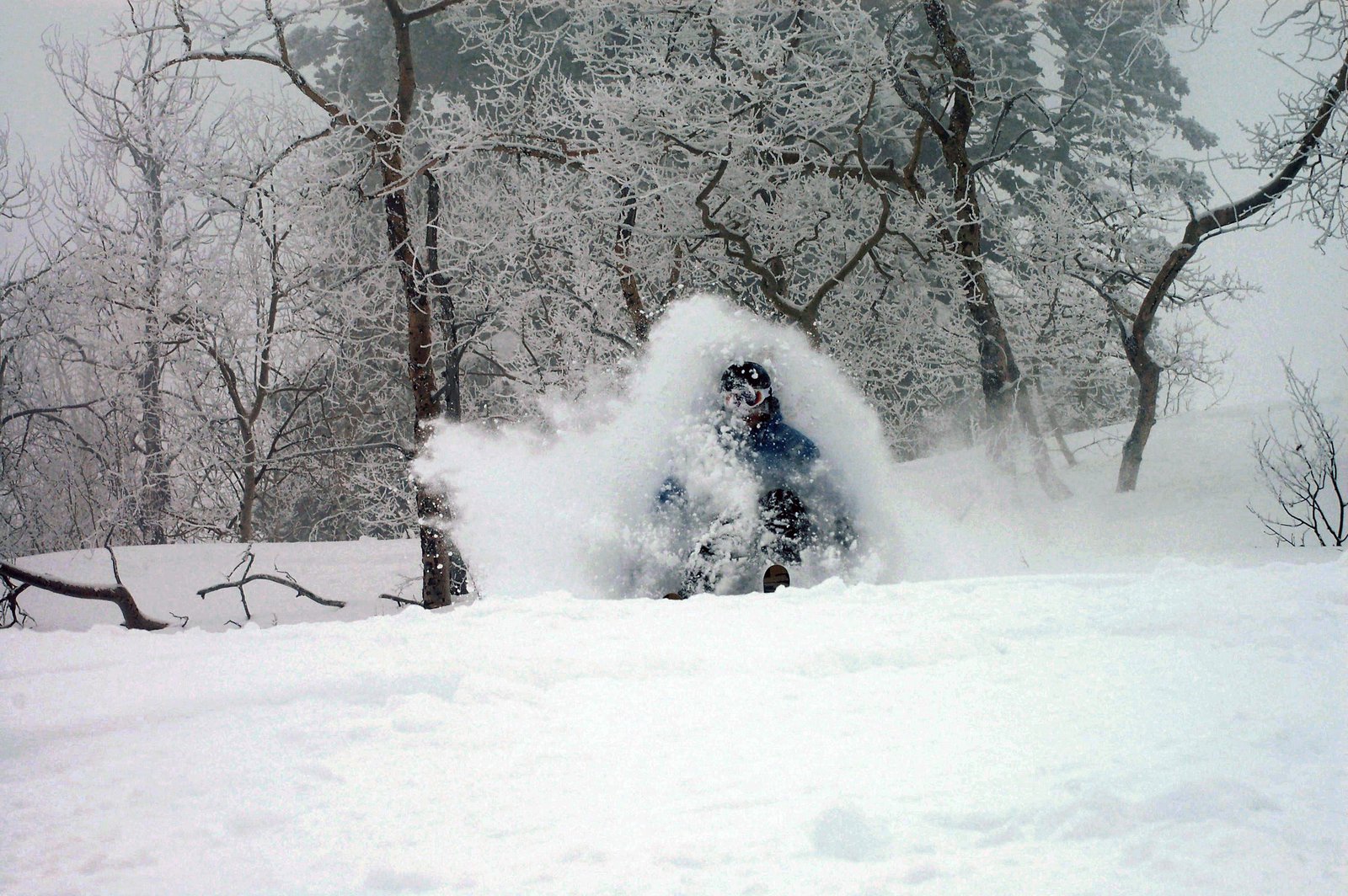 Powder Mountain