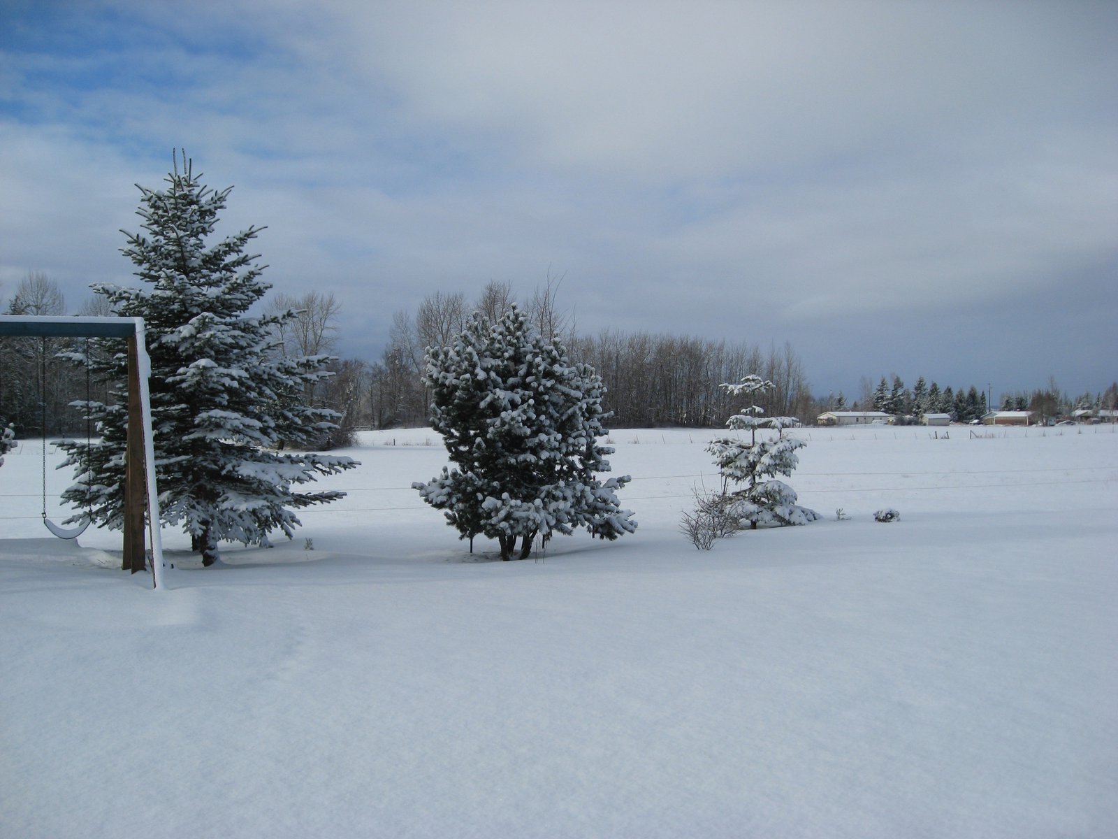 View of our frontyard