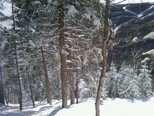 Mont Ã  Liguori