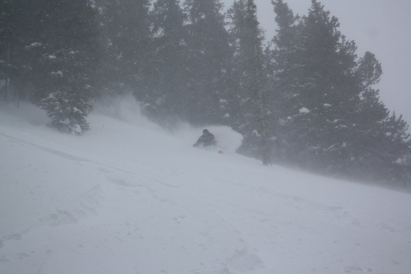 7ft storm Day 2 of 8  ALTA