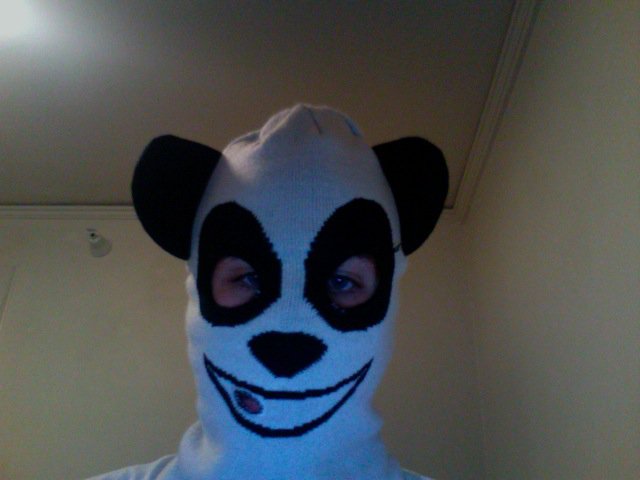 Panda bear fuckin ski mask