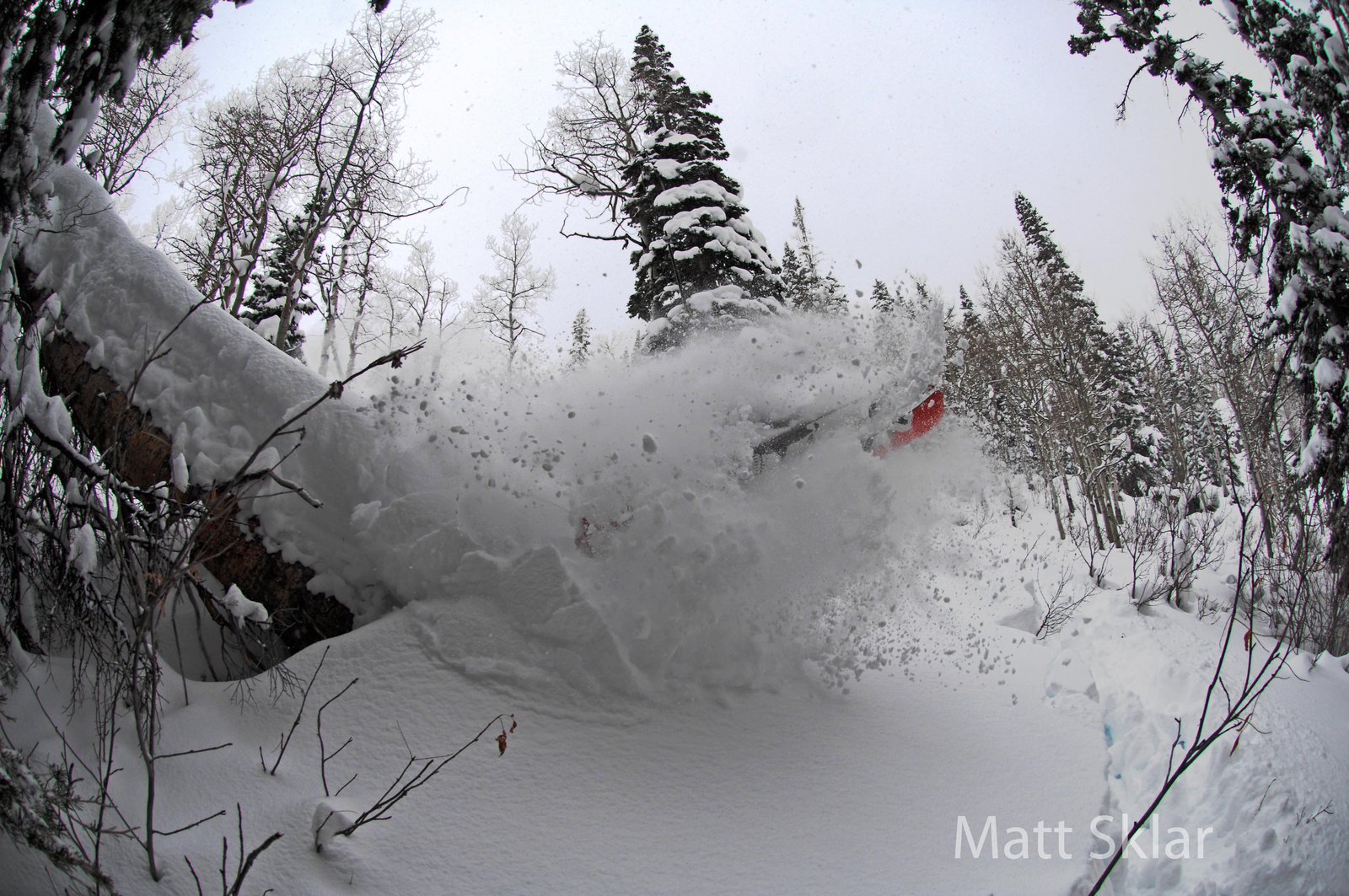 Pow in Steamboat