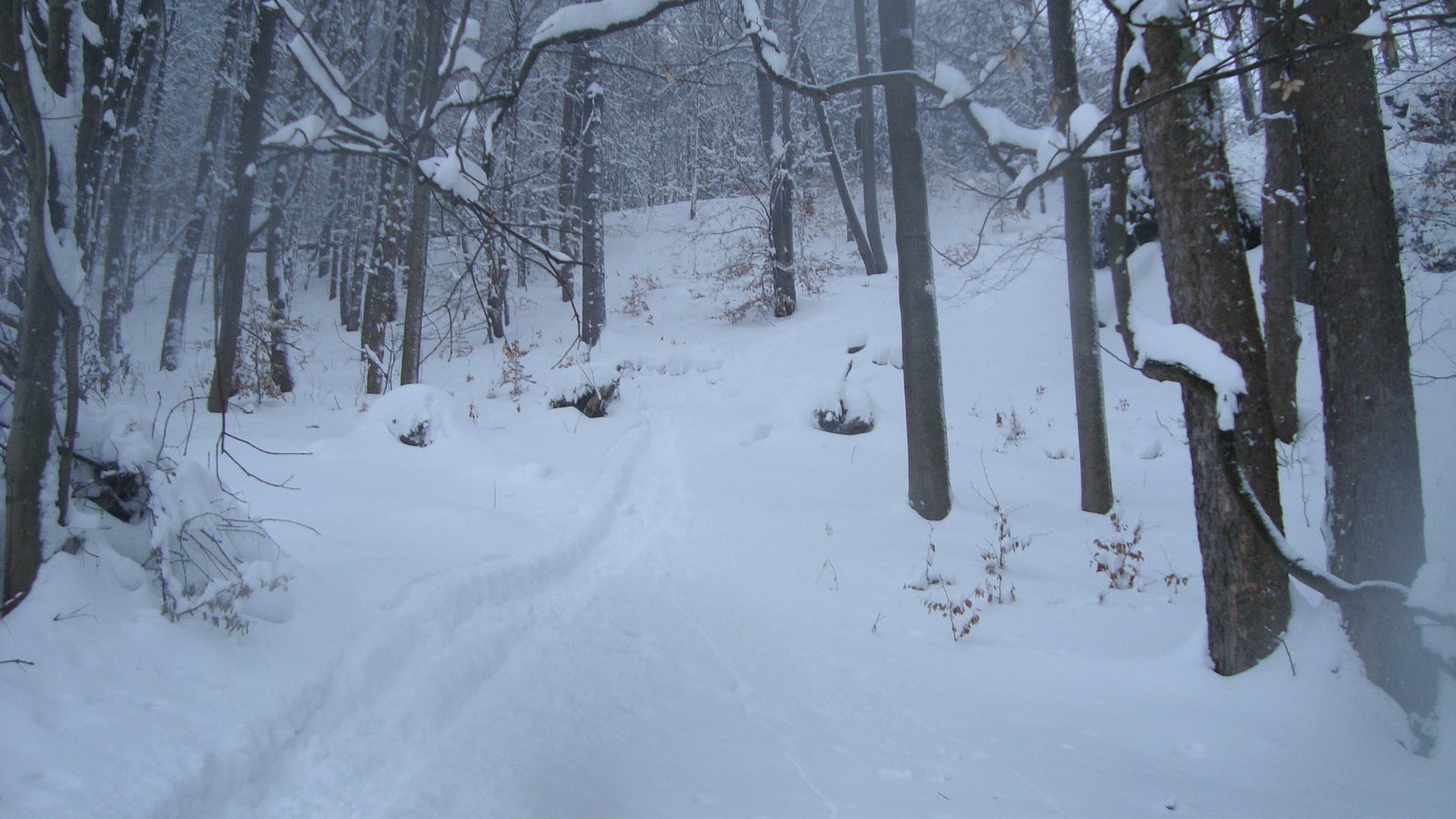 Ski and more in Krkonose - 4 of 6