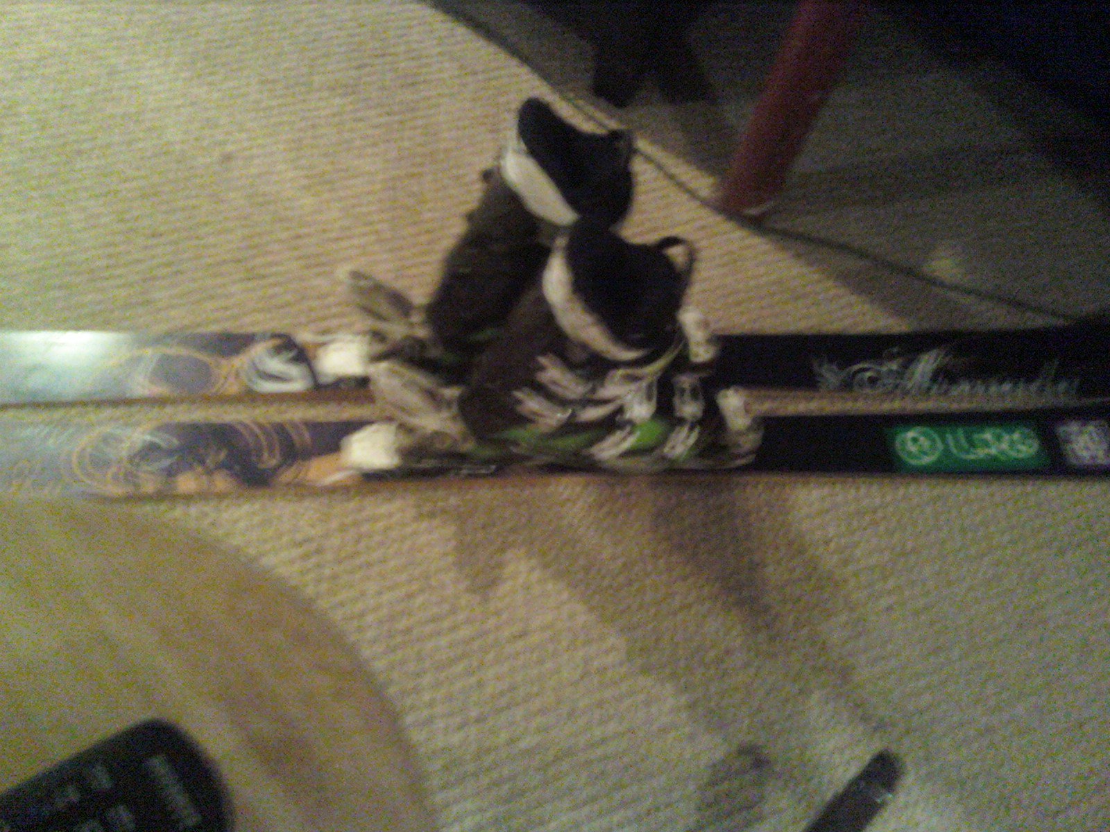 My skis