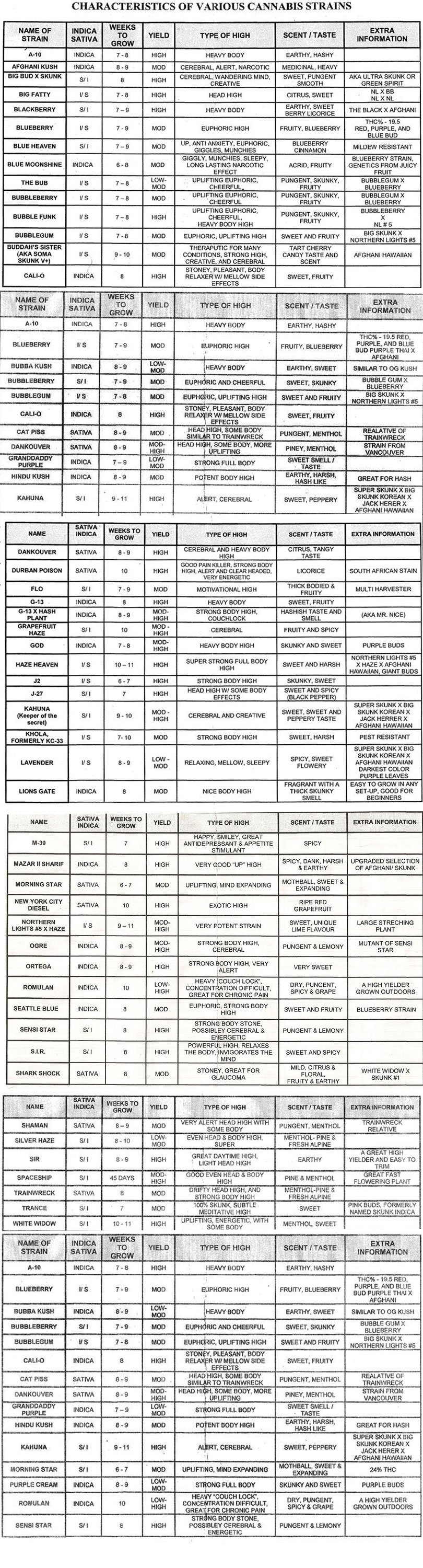 Cannabis Strains