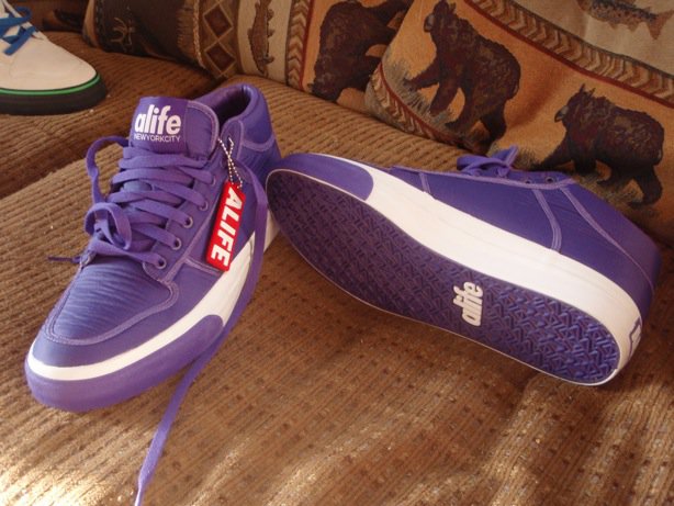 Alife 11