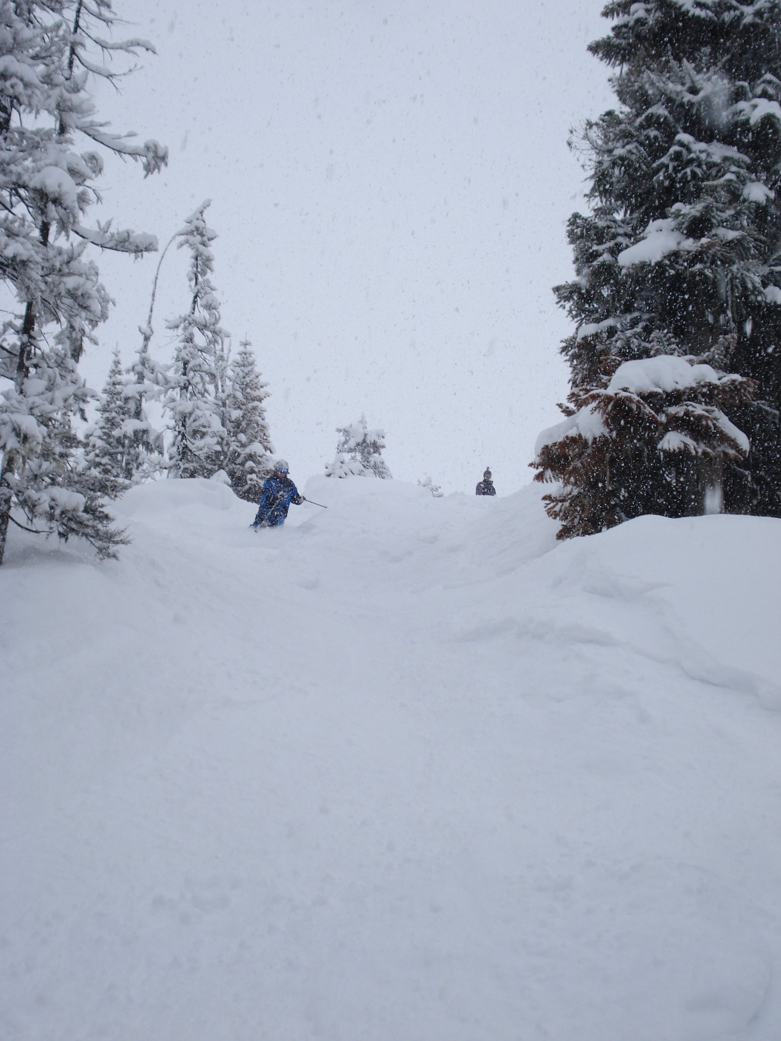 First legit day of skiing powder