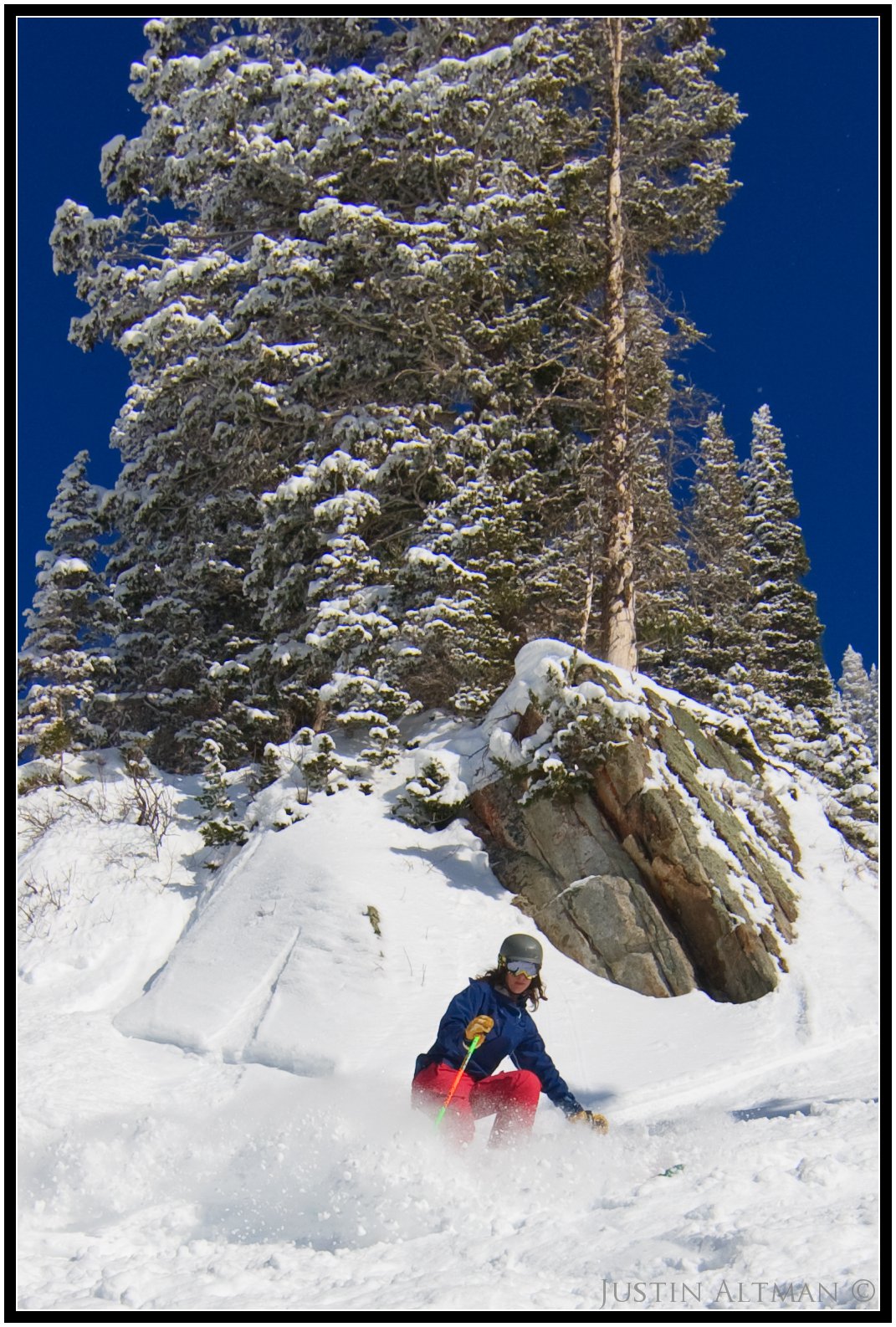 Snowbird Pow #3