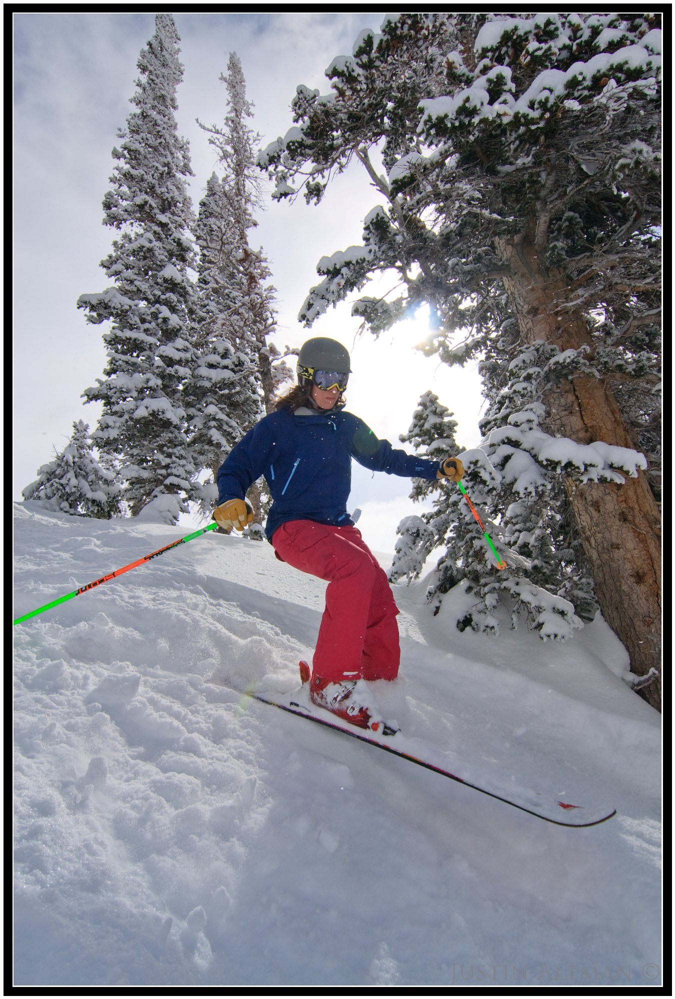 Snowbird Pow #4