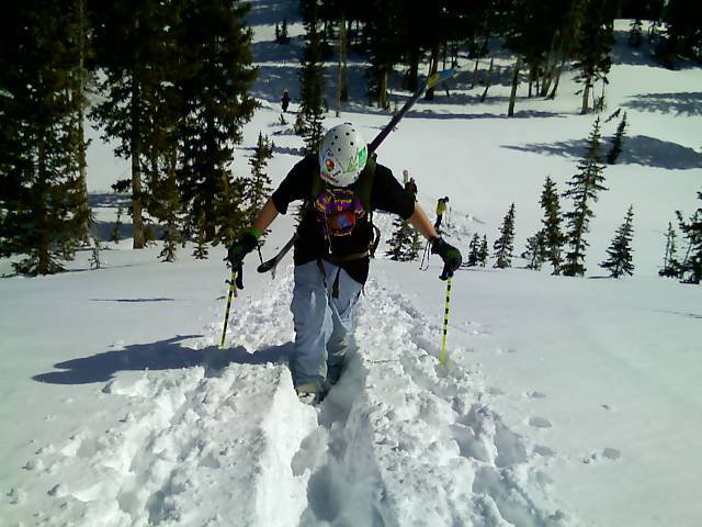 Hiking to white pines at snowbird, ut.