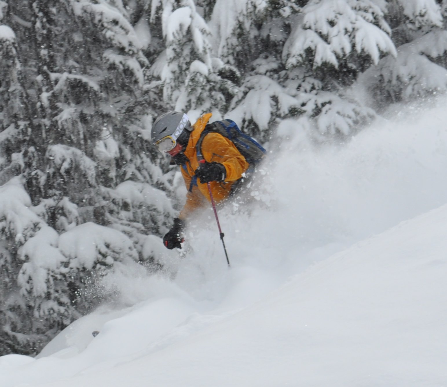 Whistler Pow