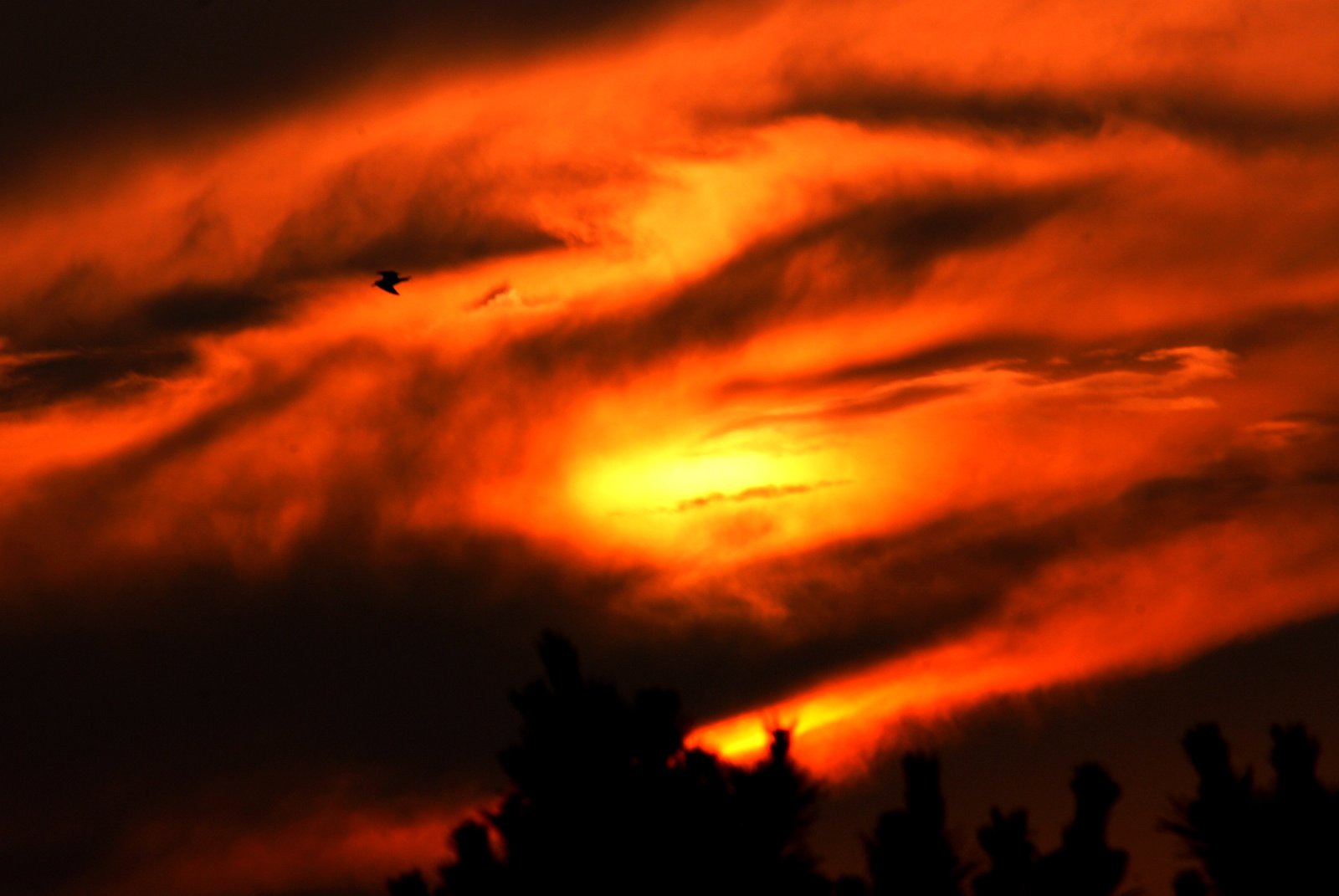 OBX sky