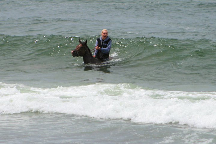 Horse surfin