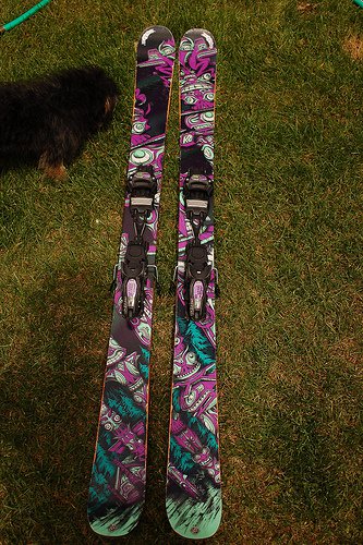 The skis!