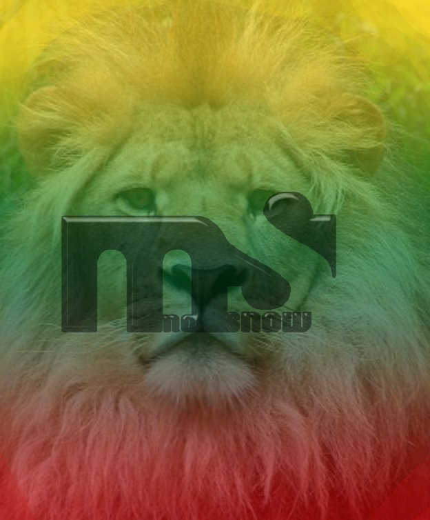 MoSnow Lion