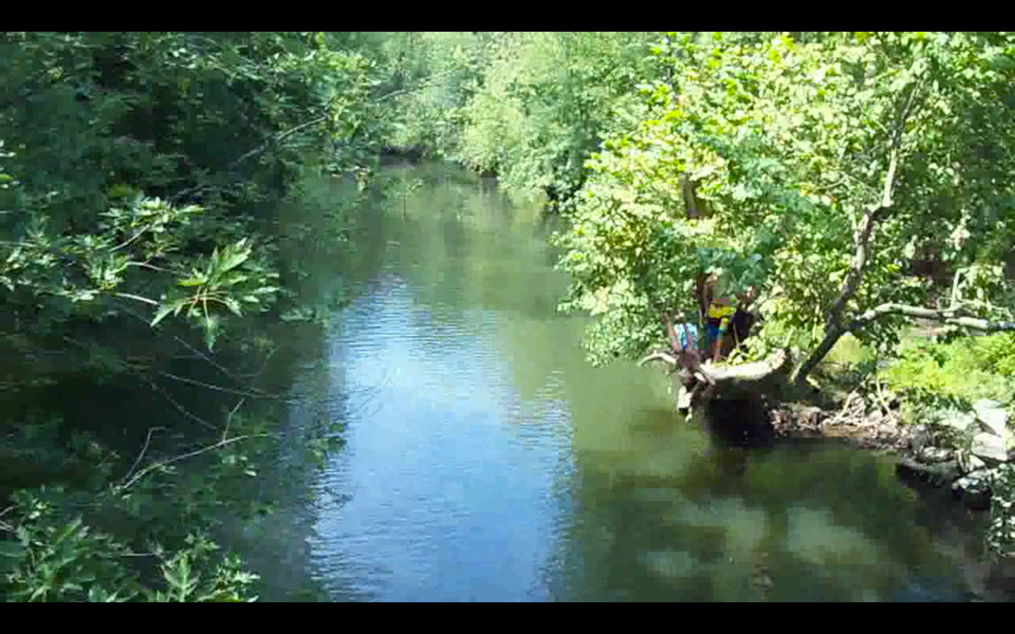 Bridge Jumping