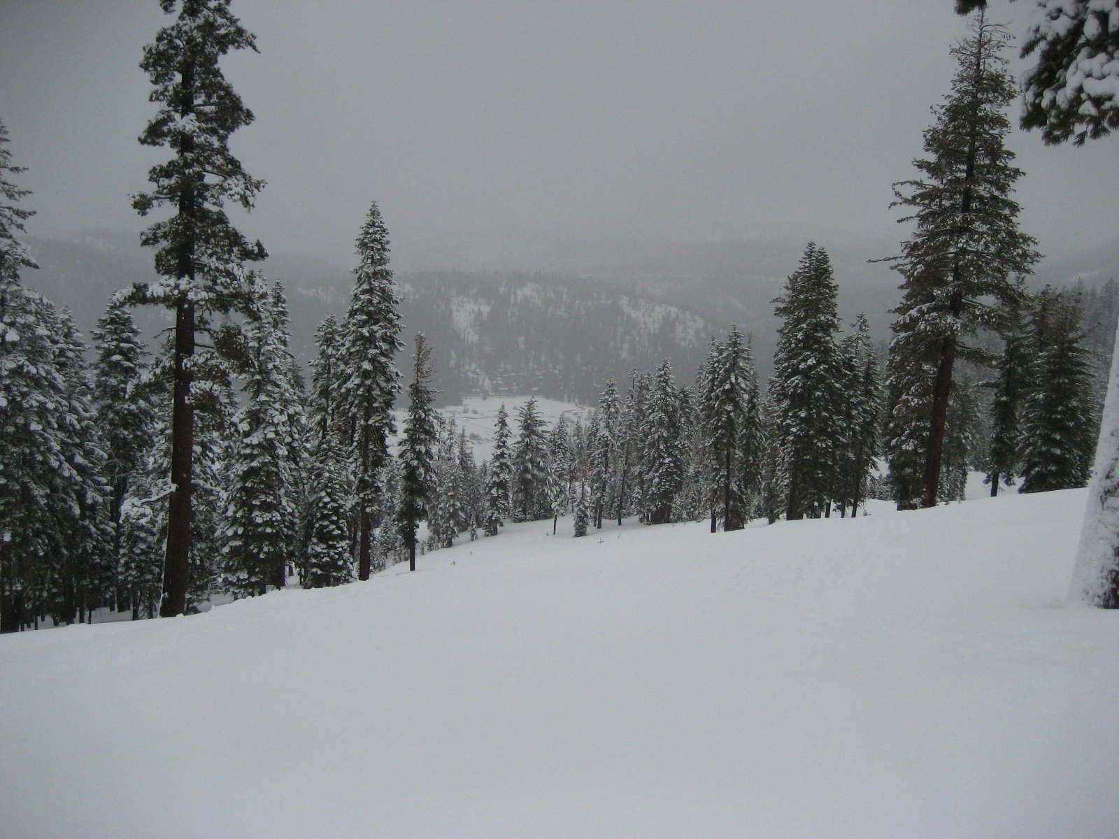 Rainy/Snowy at Squaw