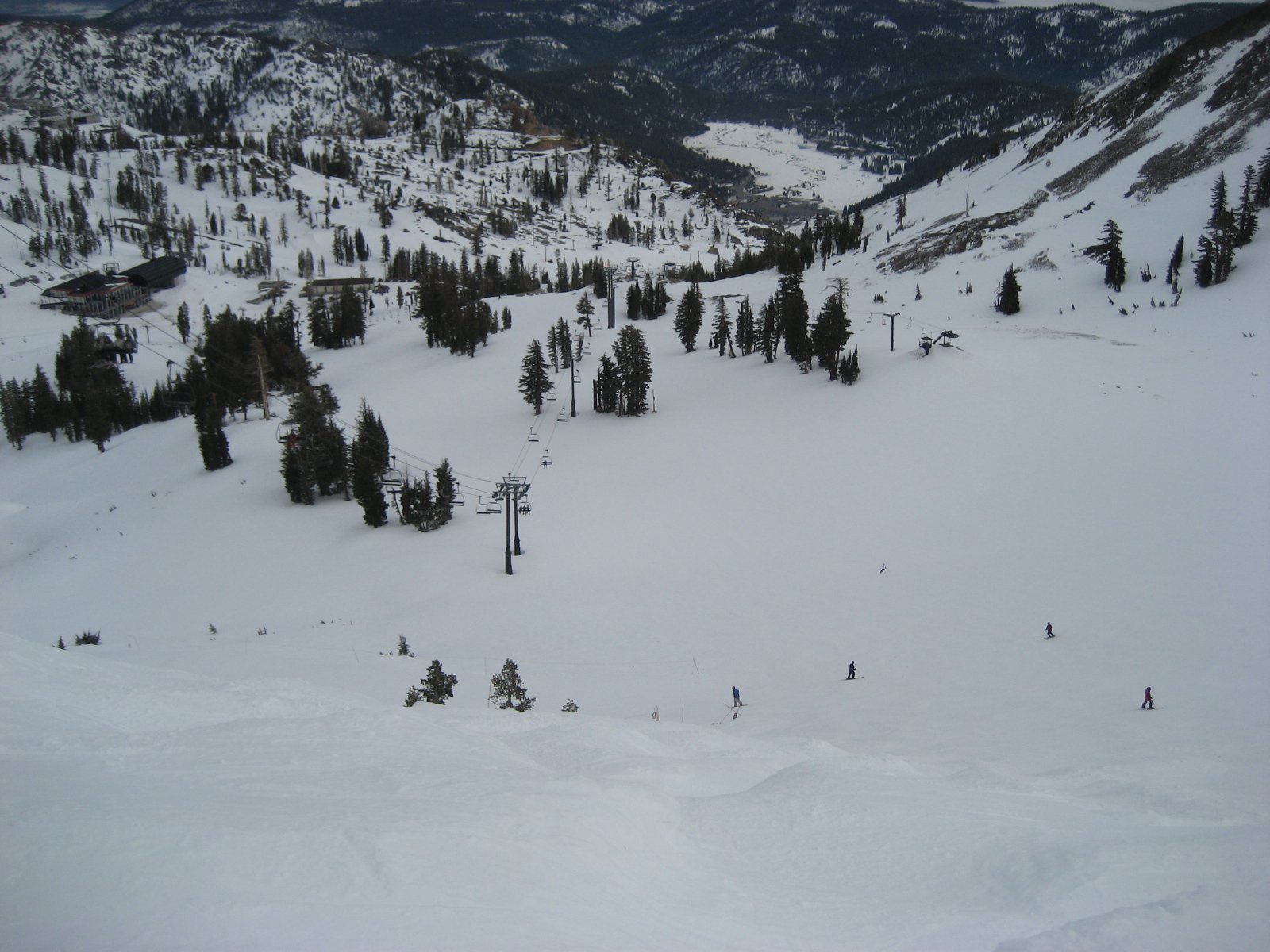 Alpine Meadows