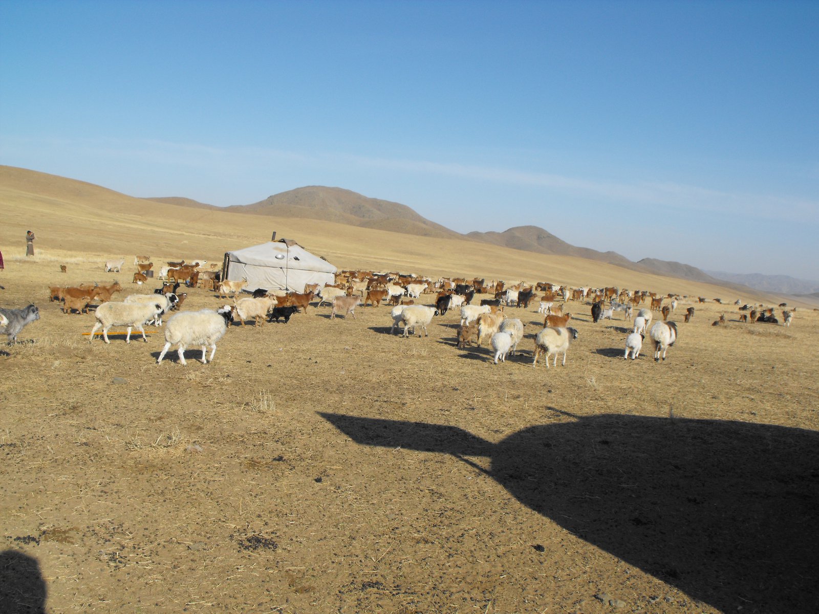 Mongolian Countryside