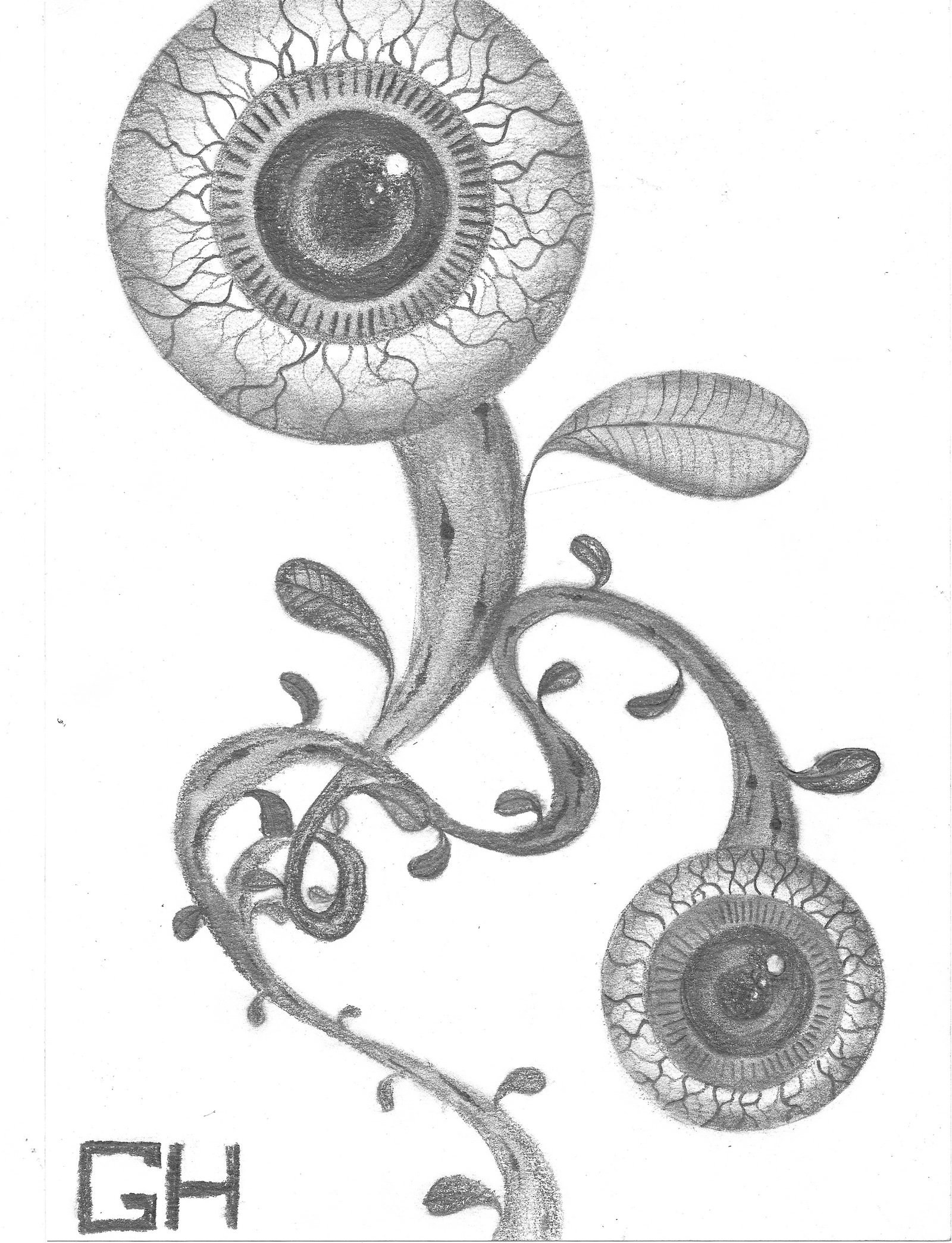 Eyeball plants