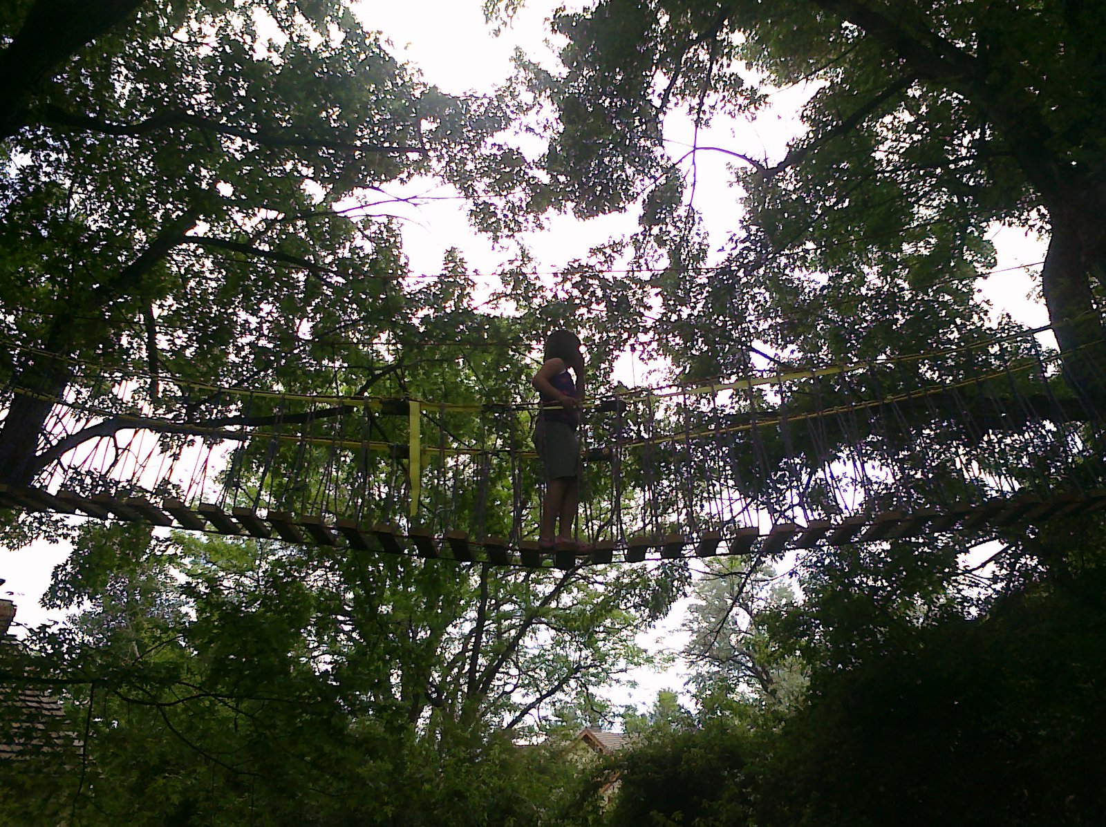 Rope Bridge 2