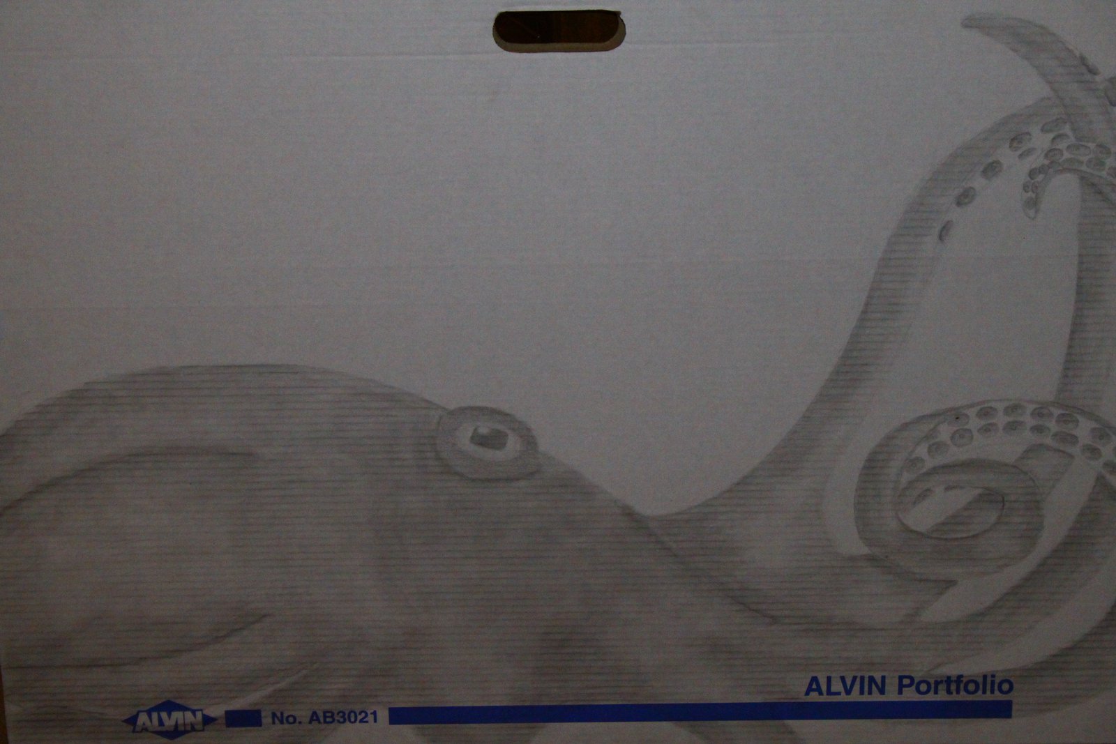 Octopus sketch