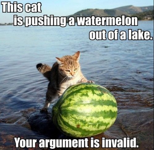 Your argument is invalid