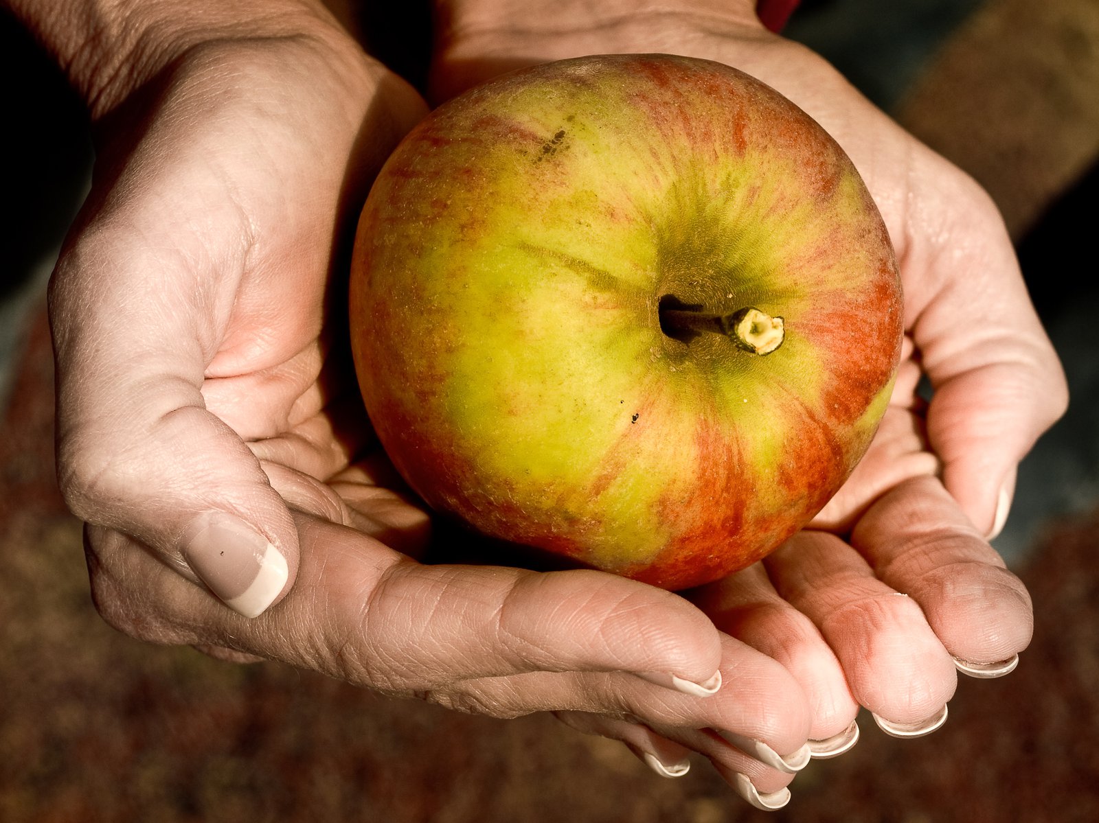 Apple Picking