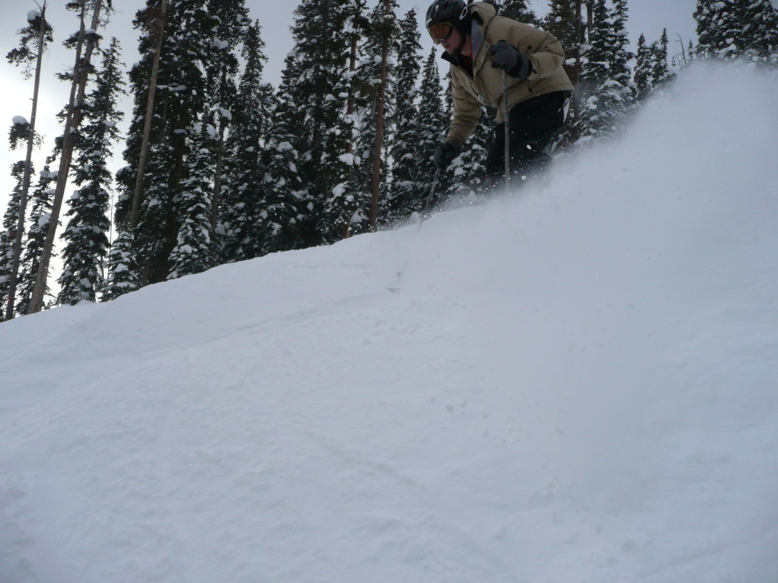 Moguls at MaryJane