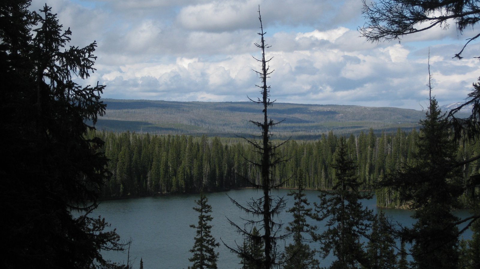 Lake of the Wood and yellowstone