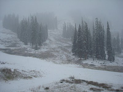 Snow at ABay 2010