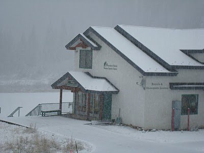 Snow abay 2010