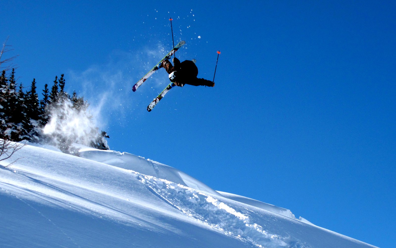 Japan Backflip