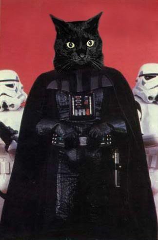 Vader cat