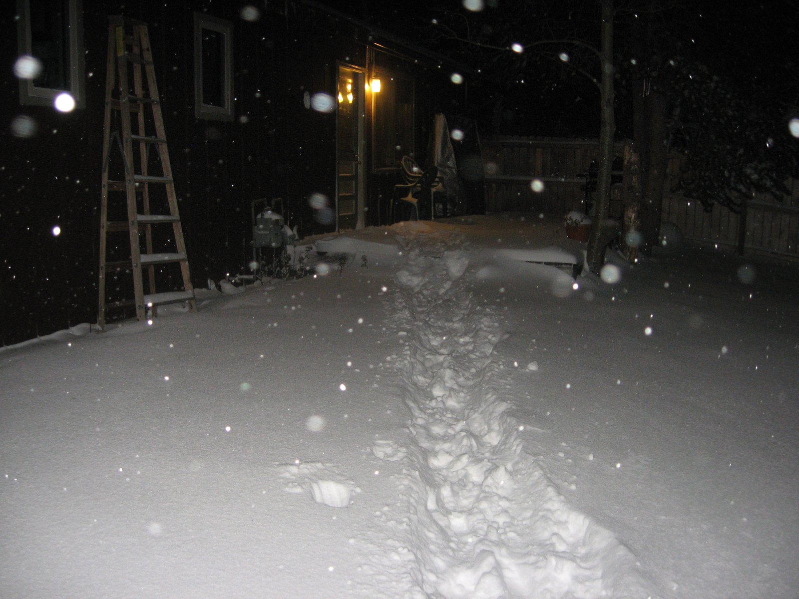 October Snow orgy