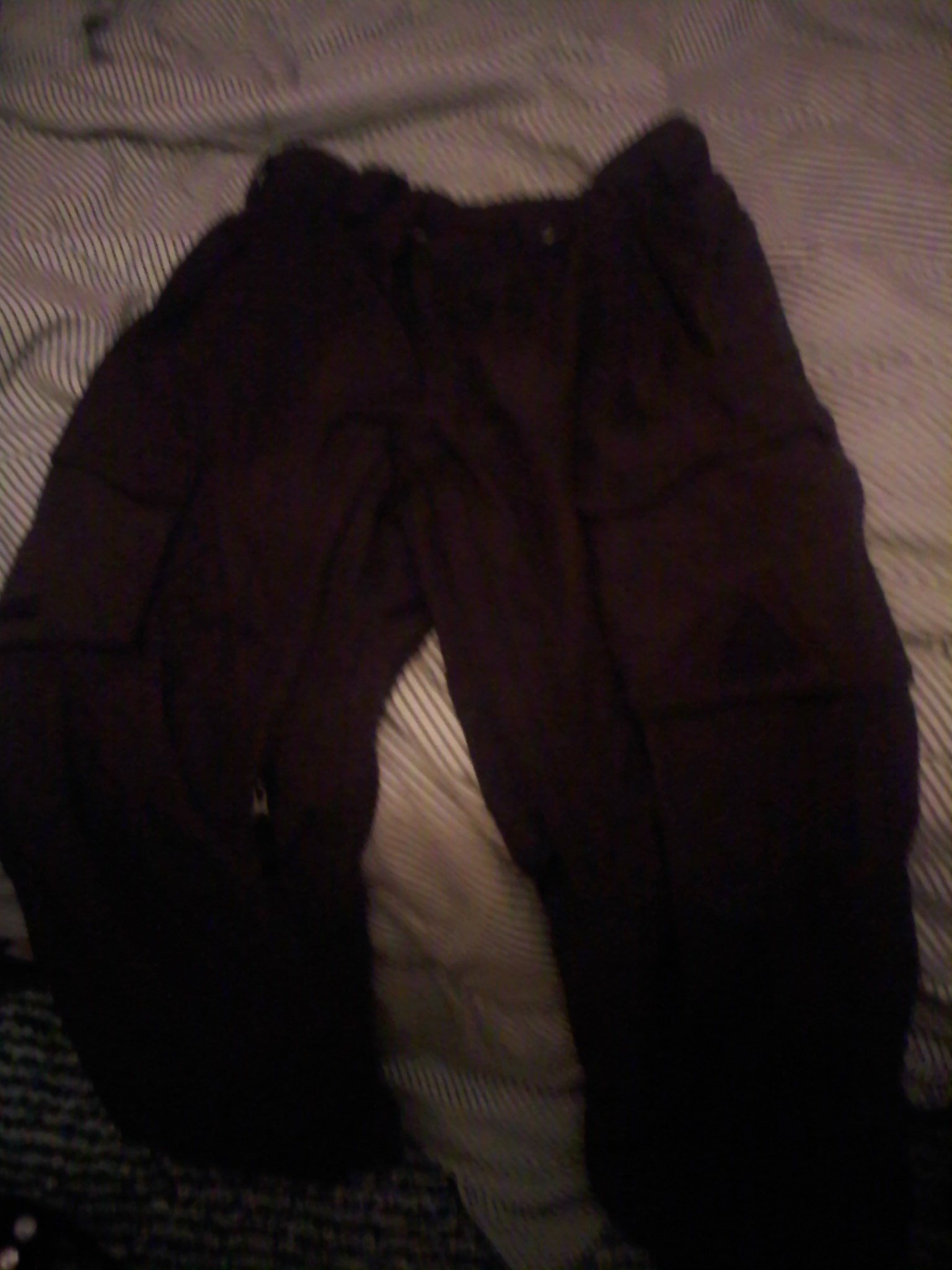 Burton pants