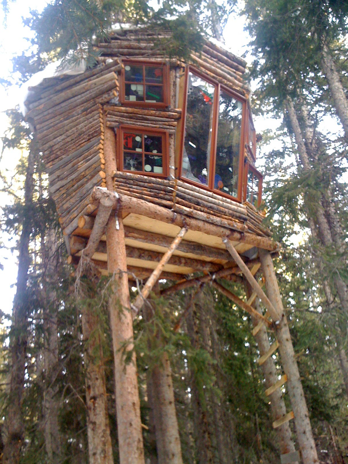 Treehouse