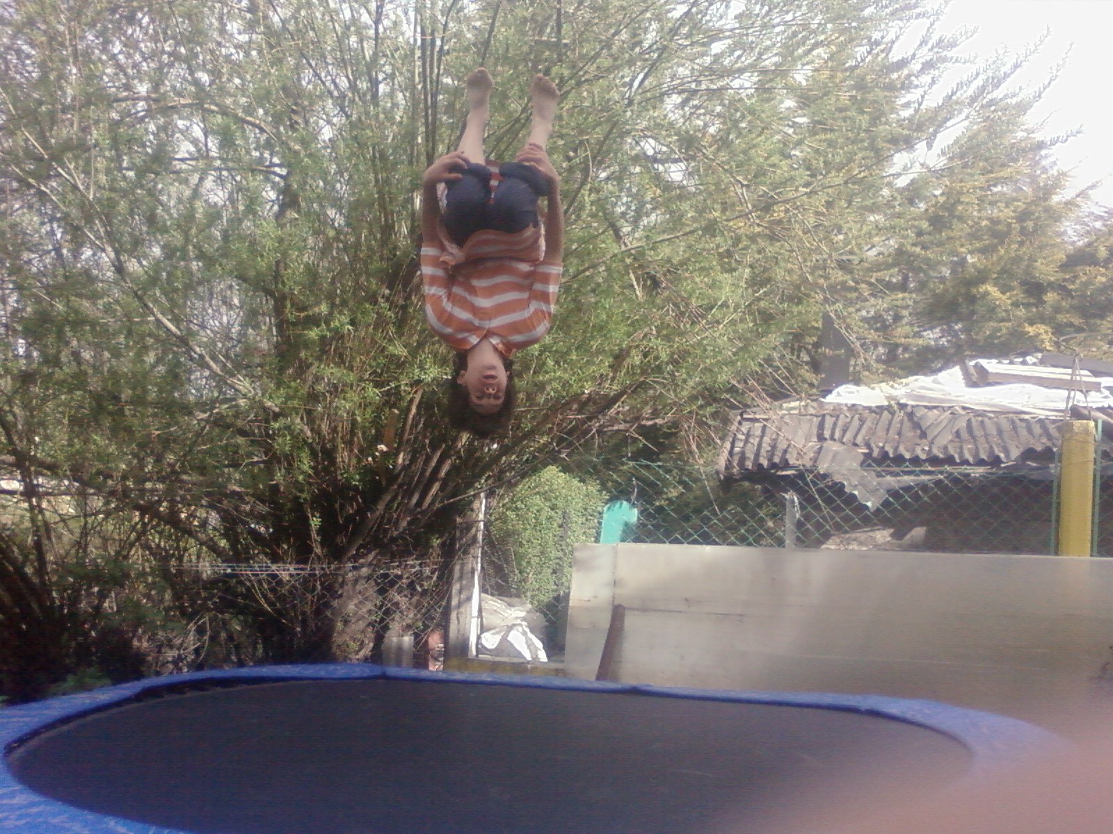 Backflip