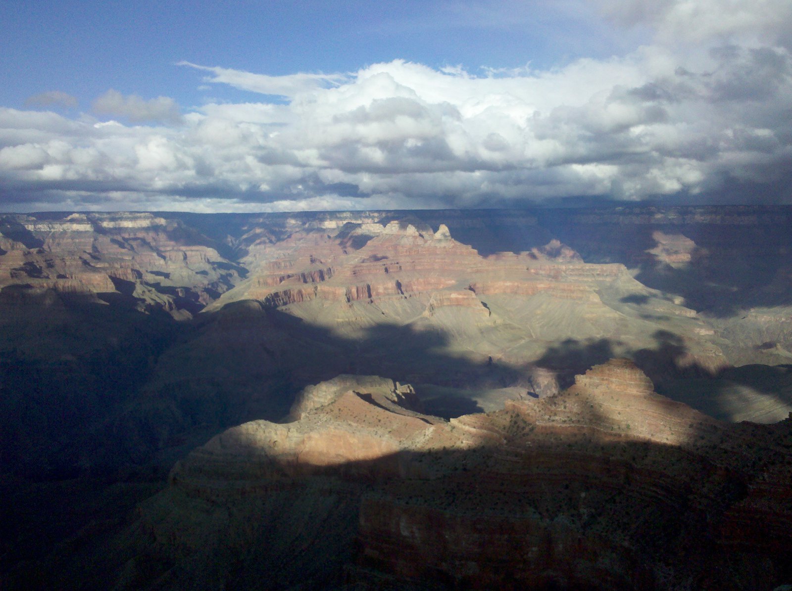 Grand Canyon Vaca