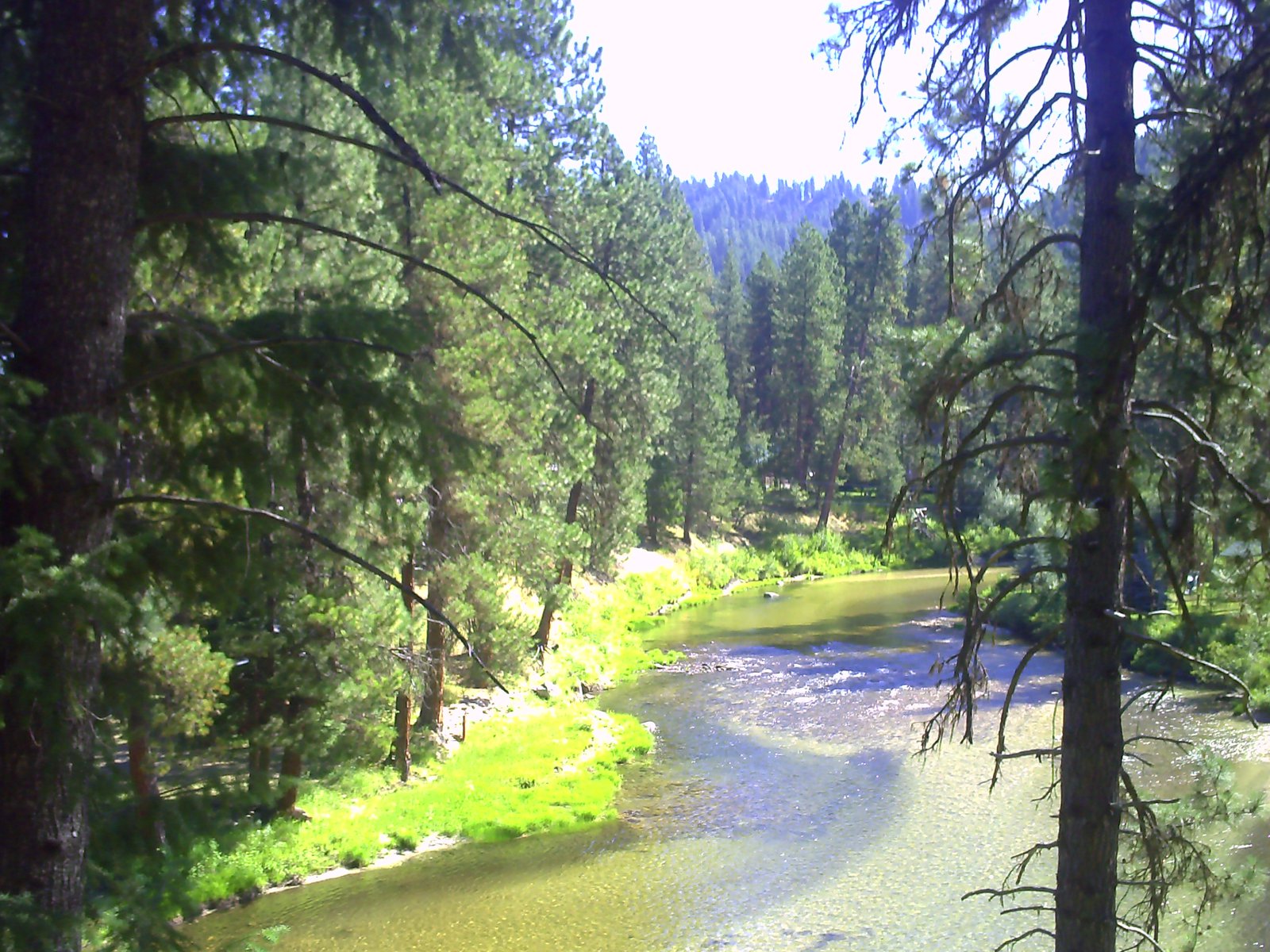 Summer at my cabin