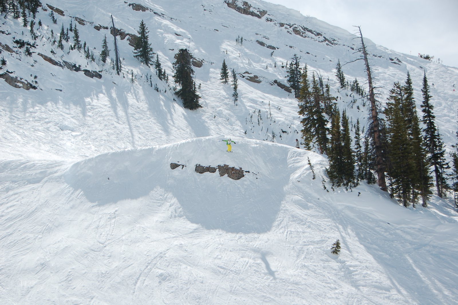 Targhee superfinals