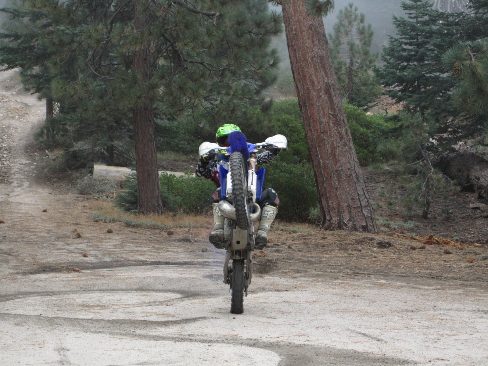 Little wheelie action