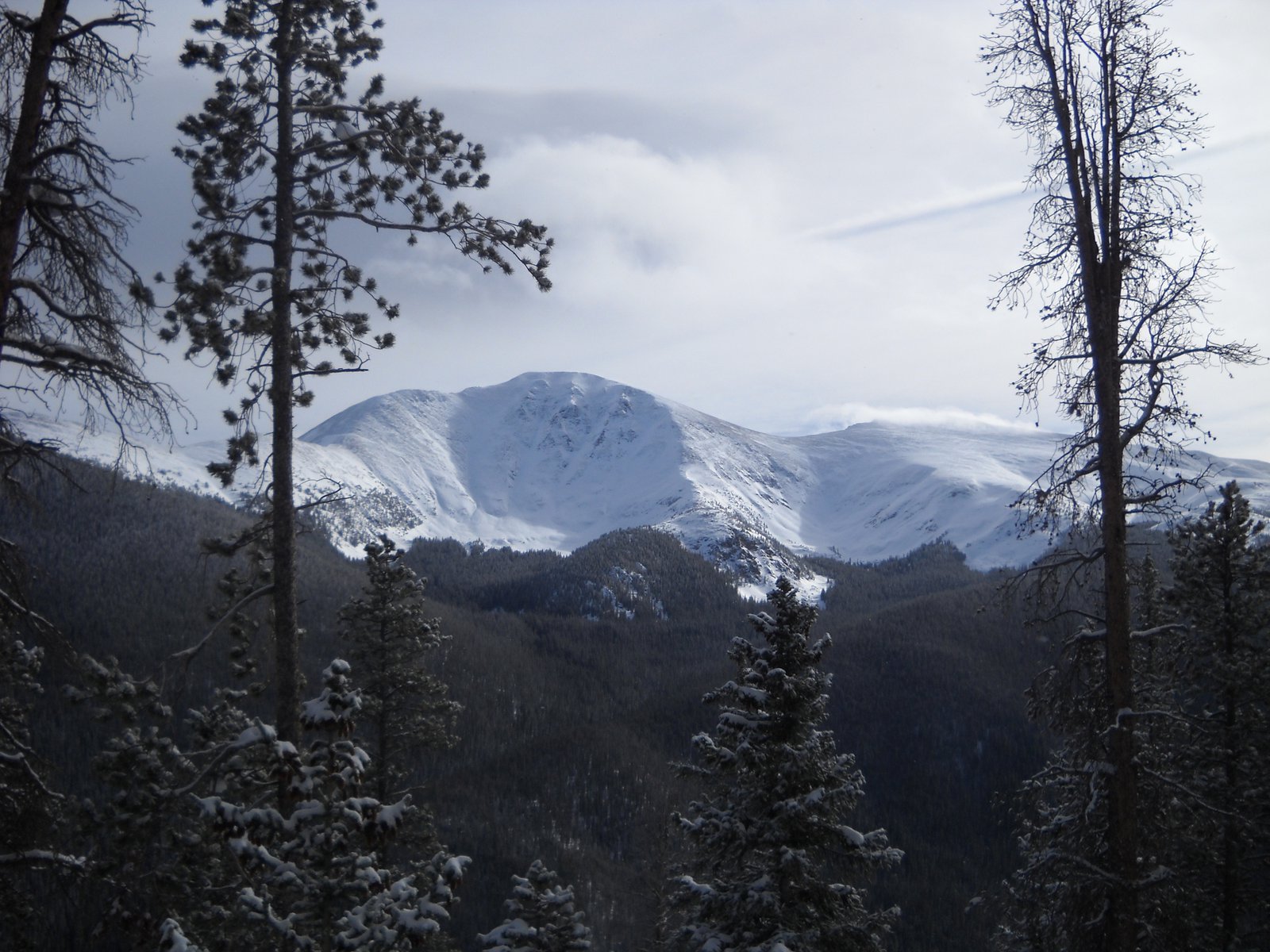 View from winter park